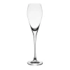 design à la mode Table Passion Flute 22cl Silhouette Transparent 10